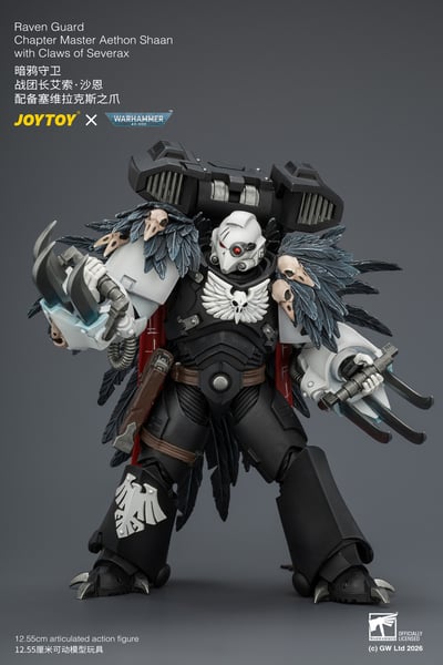 【預購】暗鴉守衛 戰團長艾索·沙恩 JT04742 X JOYTOY5