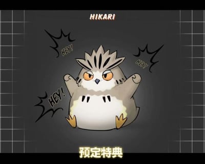 【現貨秒發】排球少年 動態全明星第三彈 木兔 光太郎 X HIKARI9