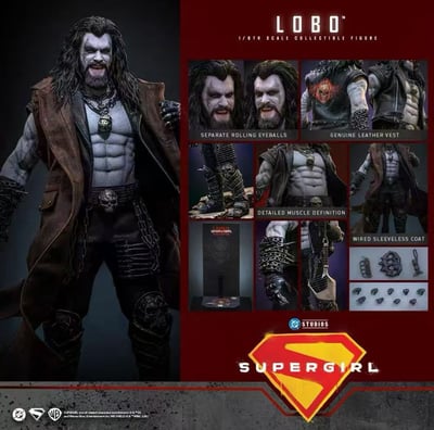【預購】DC《超級少女》暴狼羅伯 MMS890 X HOTTOYS(HT)1