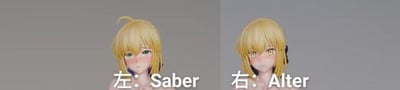 【預購】Fate《Saber與Alter》X Spider-Studio9