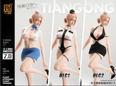 【售罄展示追加請私訊客服@toystationtw】制服系列《空姐2.0》X 天工燥物2
