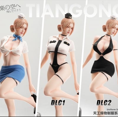 【售罄展示追加請私訊客服@toystationtw】制服系列《空姐2.0》X 天工燥物1