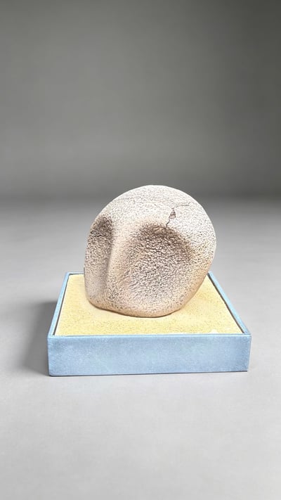 【預購】皮卡化石博物館系列第一彈 化石盔&鐮刀盔 X miumiu夢幻7
