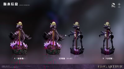 【預購】Fate 至臻系列第二彈 雙版本 黑呆 X 渡鴉+迷途12