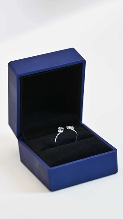 【售罄展示追加請私訊客服@toystationtw】崩壞星穹鐵道 花嫁鴨鴨 布洛妮婭 X Hyperion工作室12