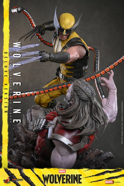【預購】《漫威金剛狼》金剛狼 VGM91&VGM92 X HOTTOYS9