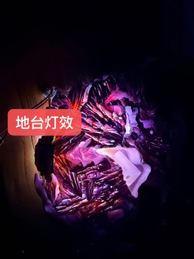 【預購】家庭教師 雲雀恭彌 X 重甲犀牛6