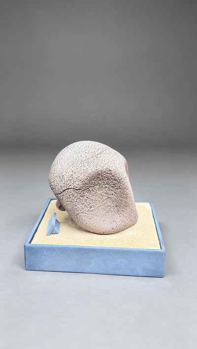 【預購】皮卡化石博物館系列第一彈 化石盔&鐮刀盔 X miumiu夢幻6