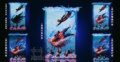 【現貨秒發】火影忍者 豪傑物語 自來也&鳴人 X NINJA忍者4