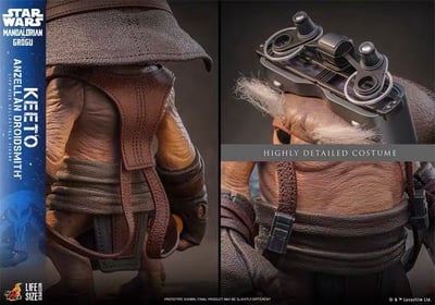 【預購】星際大戰《曼達洛人與古古》可動 LMS018 基托 安澤爾機器人專家 X HotToys(HT)9