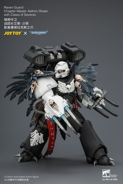 【預購】暗鴉守衛 戰團長艾索·沙恩 JT04742 X JOYTOY6