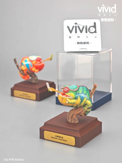 【預購】原色七彩變色龍 X vivid維物主義10