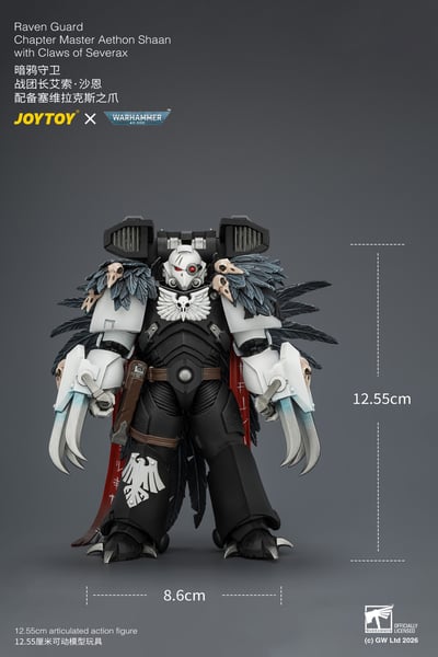 【預購】暗鴉守衛 戰團長艾索·沙恩 JT04742 X JOYTOY11