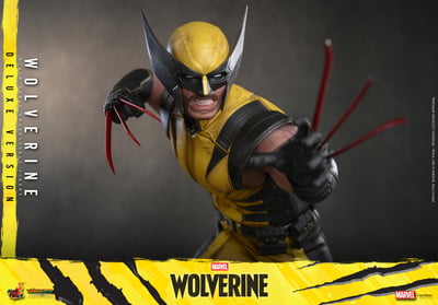 【預購】《漫威金剛狼》金剛狼 VGM91&VGM92 X HOTTOYS14