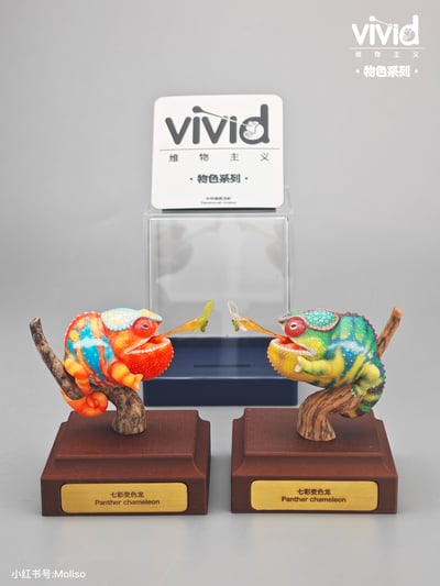 【預購】原色七彩變色龍 X vivid維物主義8
