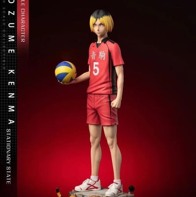 【現貨秒發】排球少年 排球boys 孤爪研磨 X HIKARI排球分部1