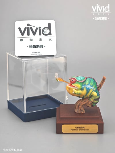 【預購】原色七彩變色龍 X vivid維物主義7