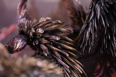 【預購】魔物獵人 奸世滅盡龍vs天地煌啼龍 X DragonFrontier龍之邊境13