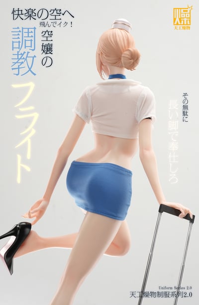 【售罄展示追加請私訊客服@toystationtw】制服系列《空姐2.0》X 天工燥物5