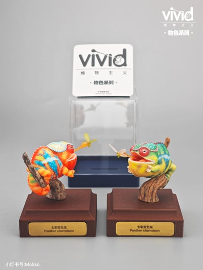 【預購】原色七彩變色龍 X vivid維物主義9