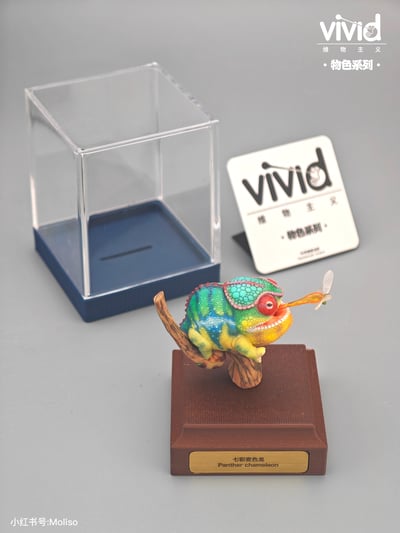 【預購】原色七彩變色龍 X vivid維物主義3