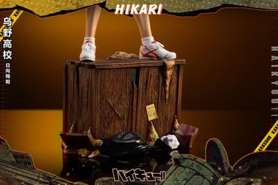 【現貨秒發】排球少年 烏野高校系列第二彈 小太陽 日向翔陽 X HIKARI10