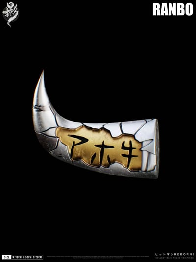 【預購】家庭教師006 二十年後藍波 X 掠影工作室9