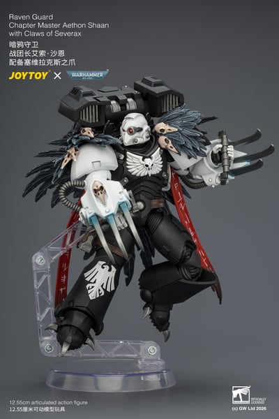 【預購】暗鴉守衛 戰團長艾索·沙恩 JT04742 X JOYTOY10