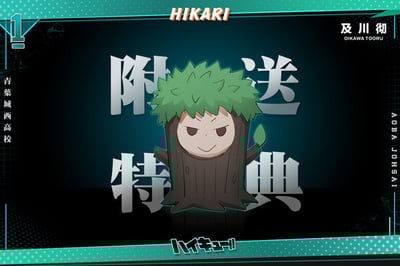 【現貨秒發】排球少年 全明星系列 大王 及川徹 青葉城西高校超攻擊型二傳手 X HIKARI8