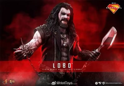 【預購】DC《超級少女》暴狼羅伯 MMS890 X HOTTOYS(HT)3