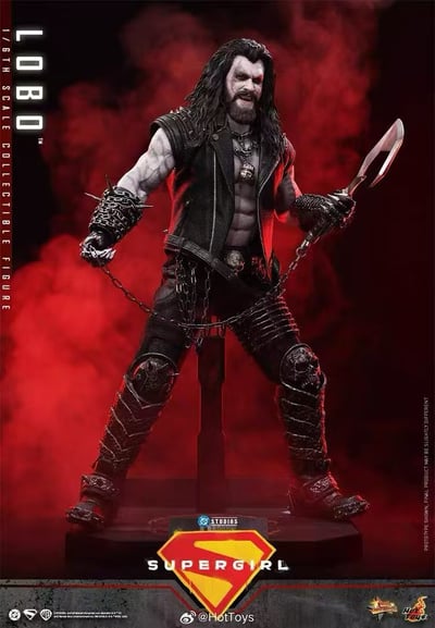 【預購】DC《超級少女》暴狼羅伯 MMS890 X HOTTOYS(HT)6