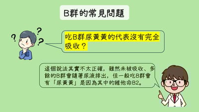 小島EX活力B群(60粒)7