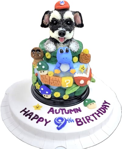 鮮食桶子造型蛋糕9