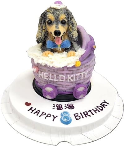 鮮食桶子造型蛋糕10