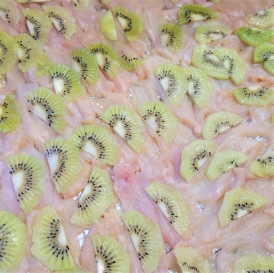 風乾雞肉奇異果片3