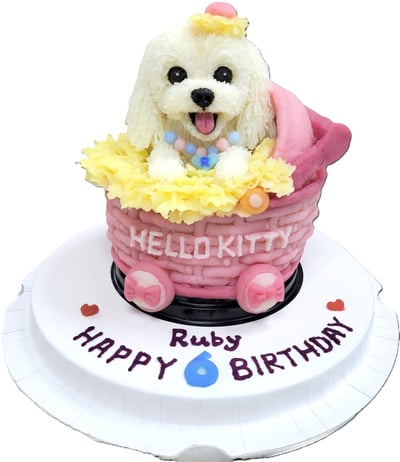 鮮食桶子造型蛋糕14