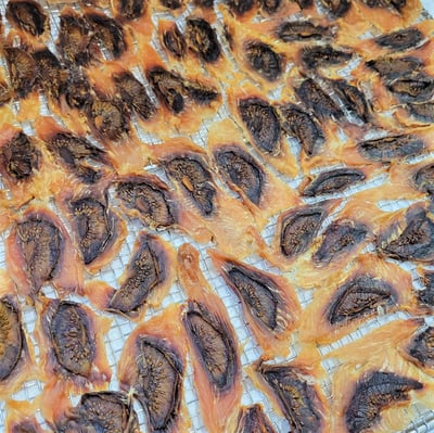 風乾雞肉奇異果片4