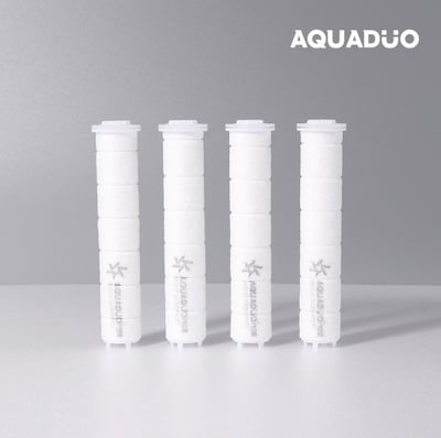 SF-580 開花Blossom蓮蓬頭+淋浴水管 2件套組8