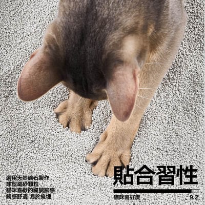天然鈉基球型貓砂4包入2
