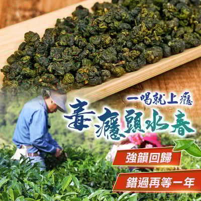 ├ 毒癮高冷茶 ┤半、二斤1