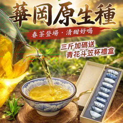 LINE好友限定├ 華岡原生種 ┤1