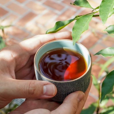 ├ 民國75年 福壽山達觀天池老茶 ┤4