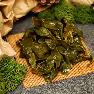 部落驕傲├ 梨山馬烈霸 ┤4