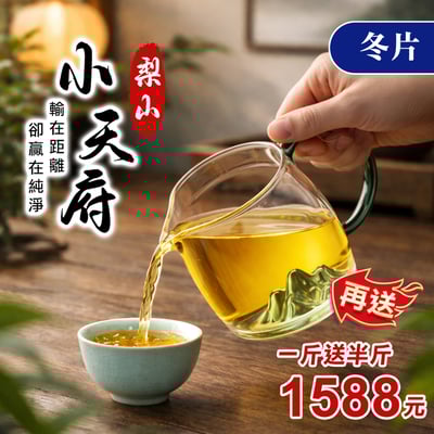 ├梨山小天府冬片 ┤再送青山茶海1