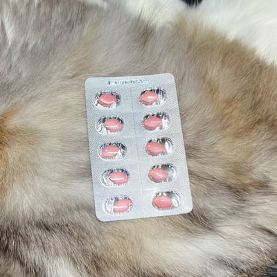 玄米美肌珠光錠(最高劑量玻尿酸+玄米萃取神經醯胺)-滿月贈2