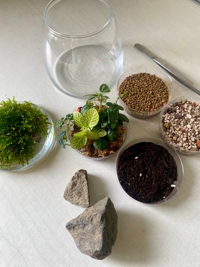 線上課程材料包｜地景開放式生態瓶3