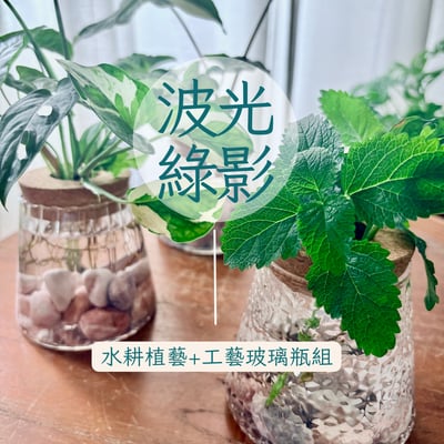 波光綠意｜水耕植藝x工藝玻璃瓶組1