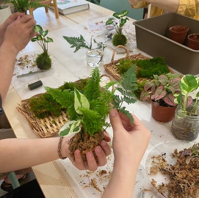 企業課程｜日系手作苔球2