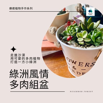 線上課程材料包｜小園丁多肉組盆1
