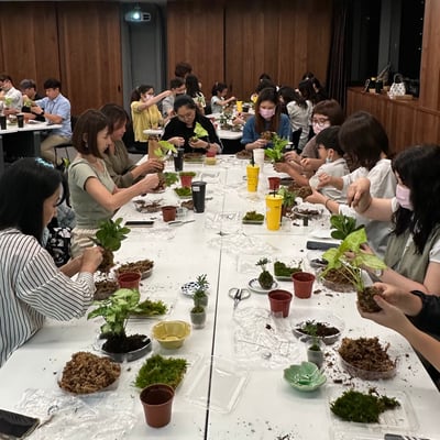 企業課程｜日系手作苔球3